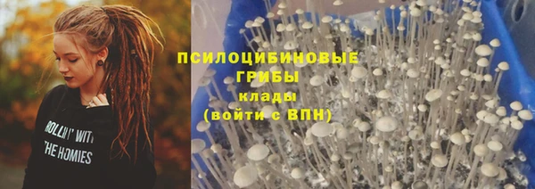 ГАЛЛЮЦИНОГЕННЫЕ ГРИБЫ Лабытнанги