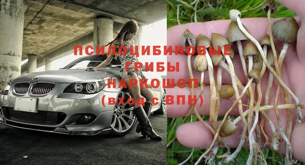 эйфоретик Ладушкин