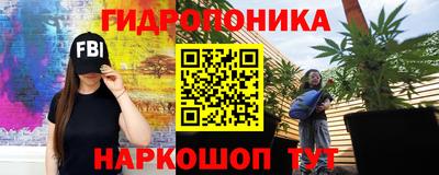 стафф Апшеронск