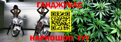сатива Кингисепп