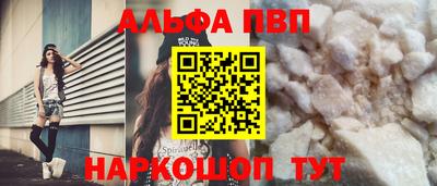 сатива Кингисепп