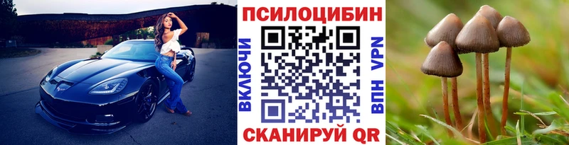OMG tor  Мелеуз  Псилоцибиновые грибы прущие грибы 