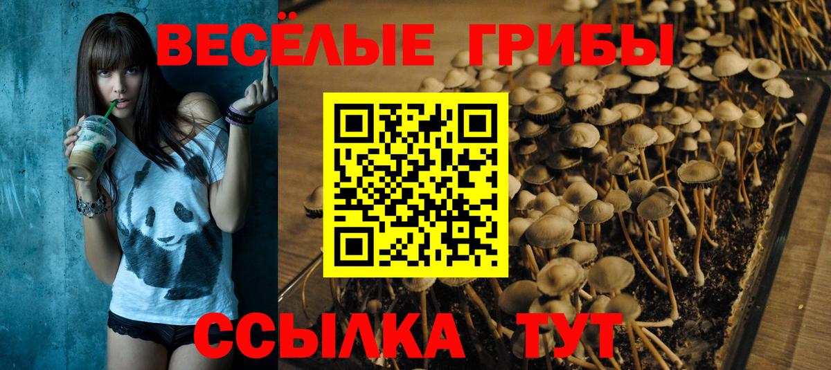 Псилоцибиновые грибы Cubensis Мелеуз