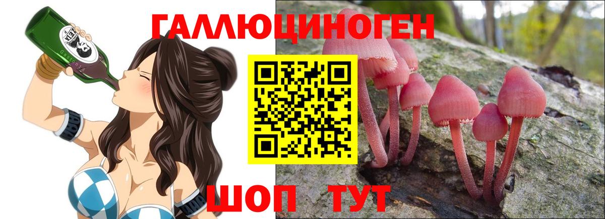 Галлюциногенные грибы Psilocybe Мелеуз