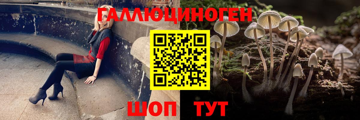 Псилоцибиновые грибы прущие грибы  Галлюциногенные грибы Psilocybe  Мелеуз  Вход с VPN 